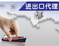 广州代理报关公司与贸易代理 一站式通关与贸易解决方案