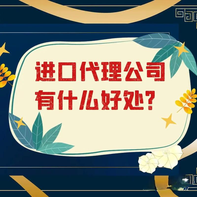 国际贸易代理服务 助力企业高效开拓全球市场的专业力量